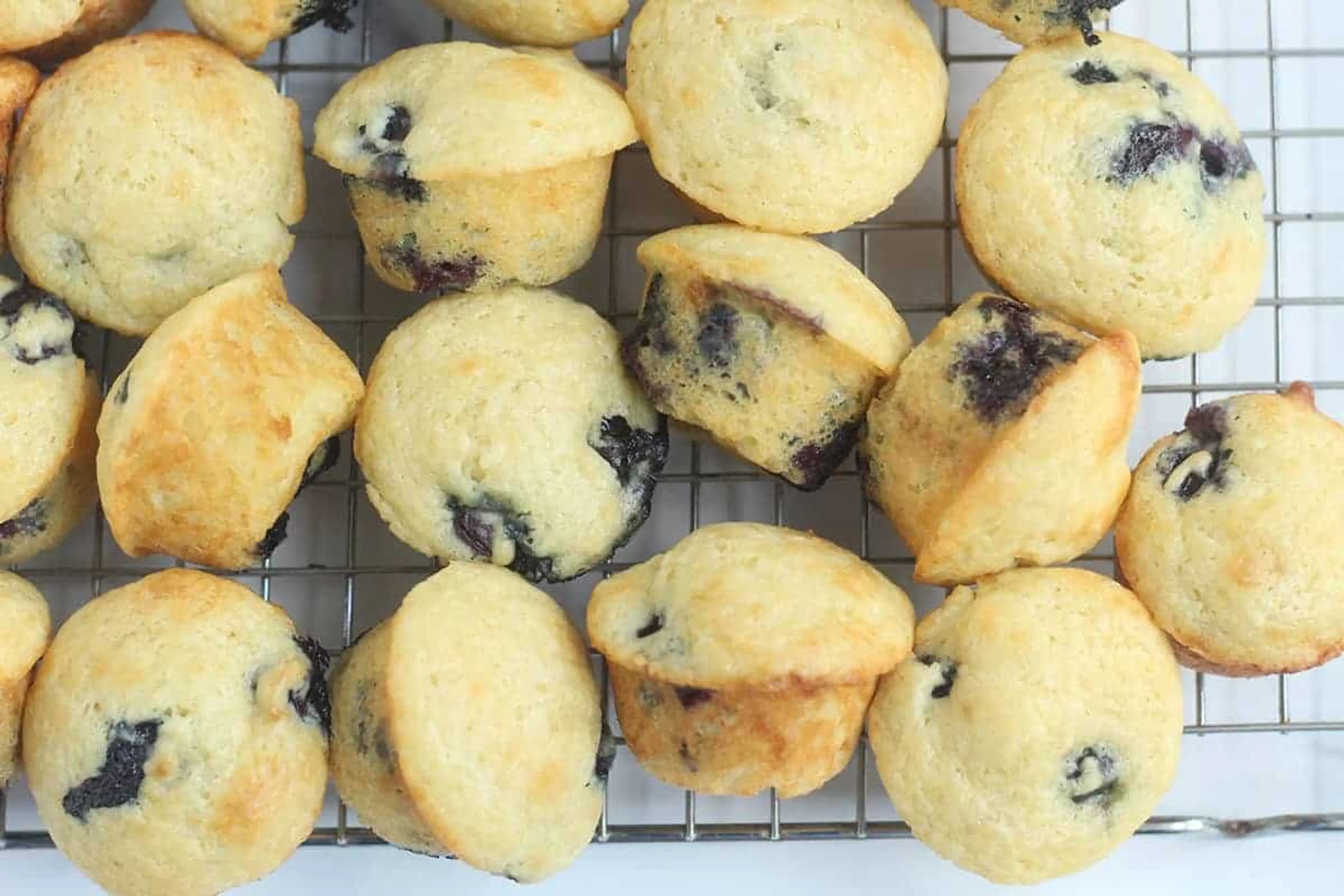 Blueberry Mini Muffins