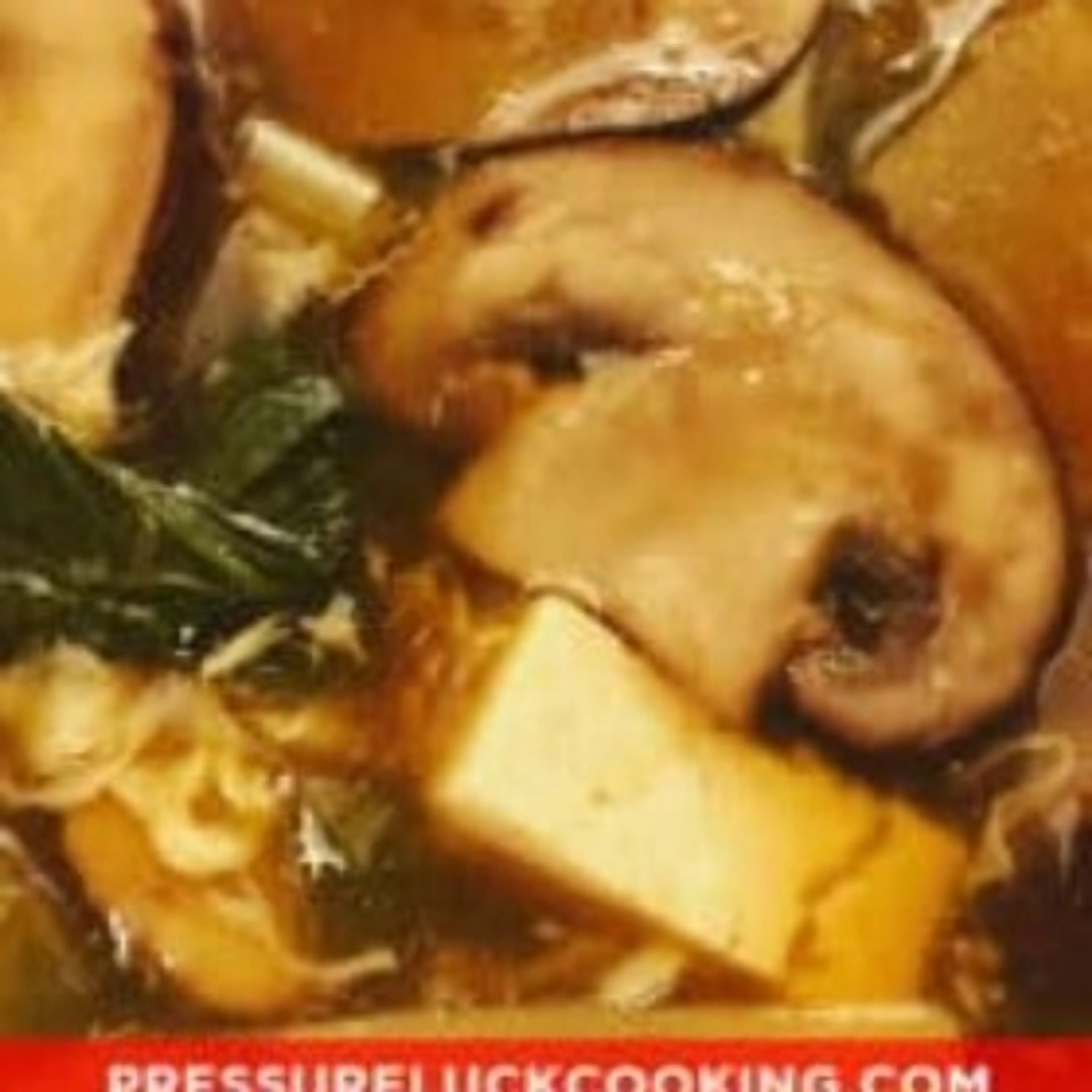 Instant Pot Hot & Sour Soup