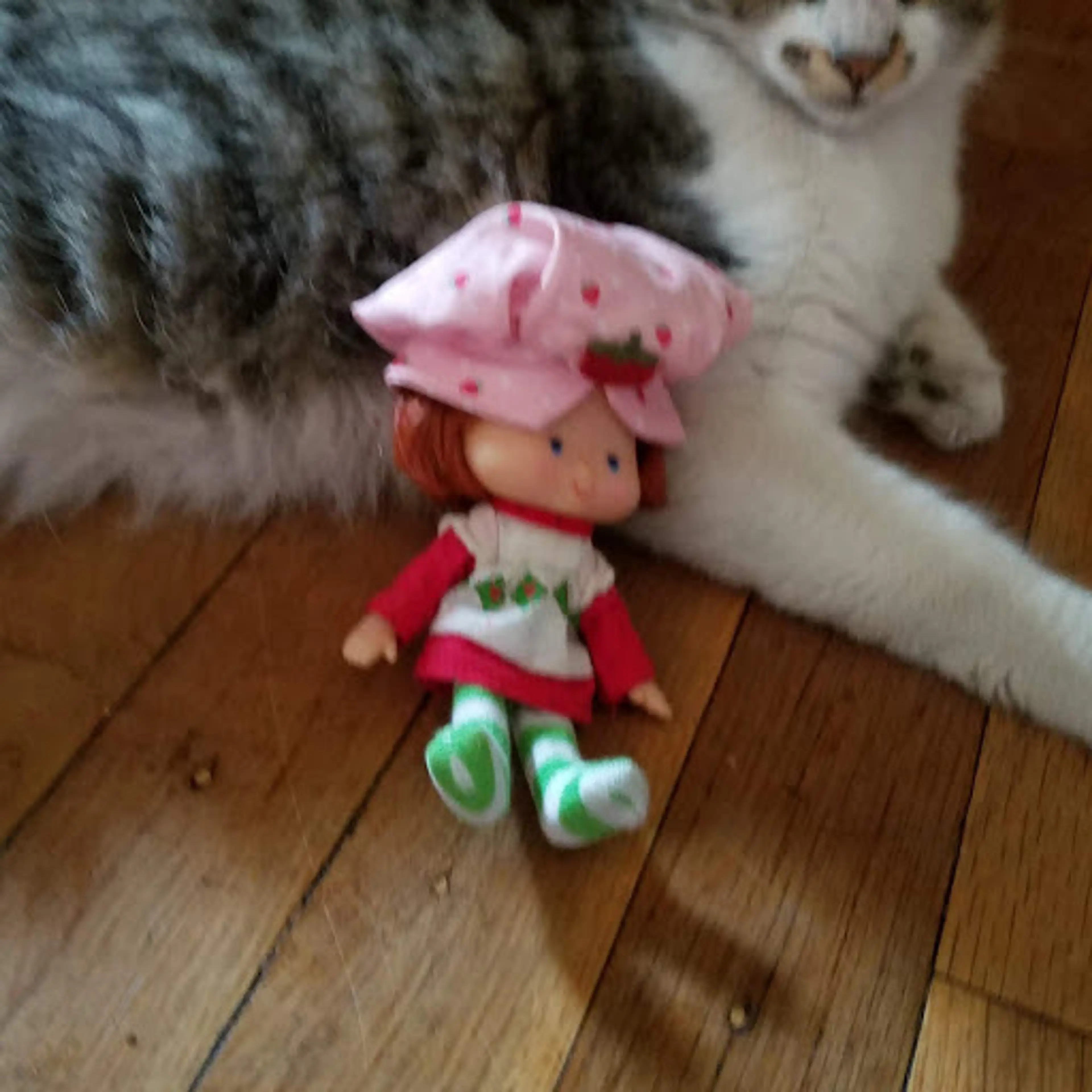 Radley Family Startoys